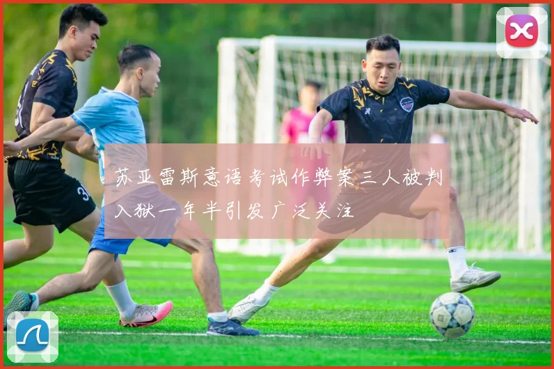 苏亚雷斯意语考试作弊案三人被判入狱一年半引发广泛关注